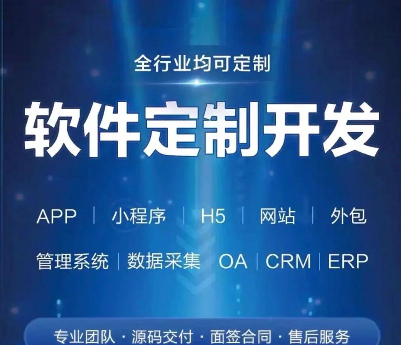 软件定制开发：企业成长的秘密武器
